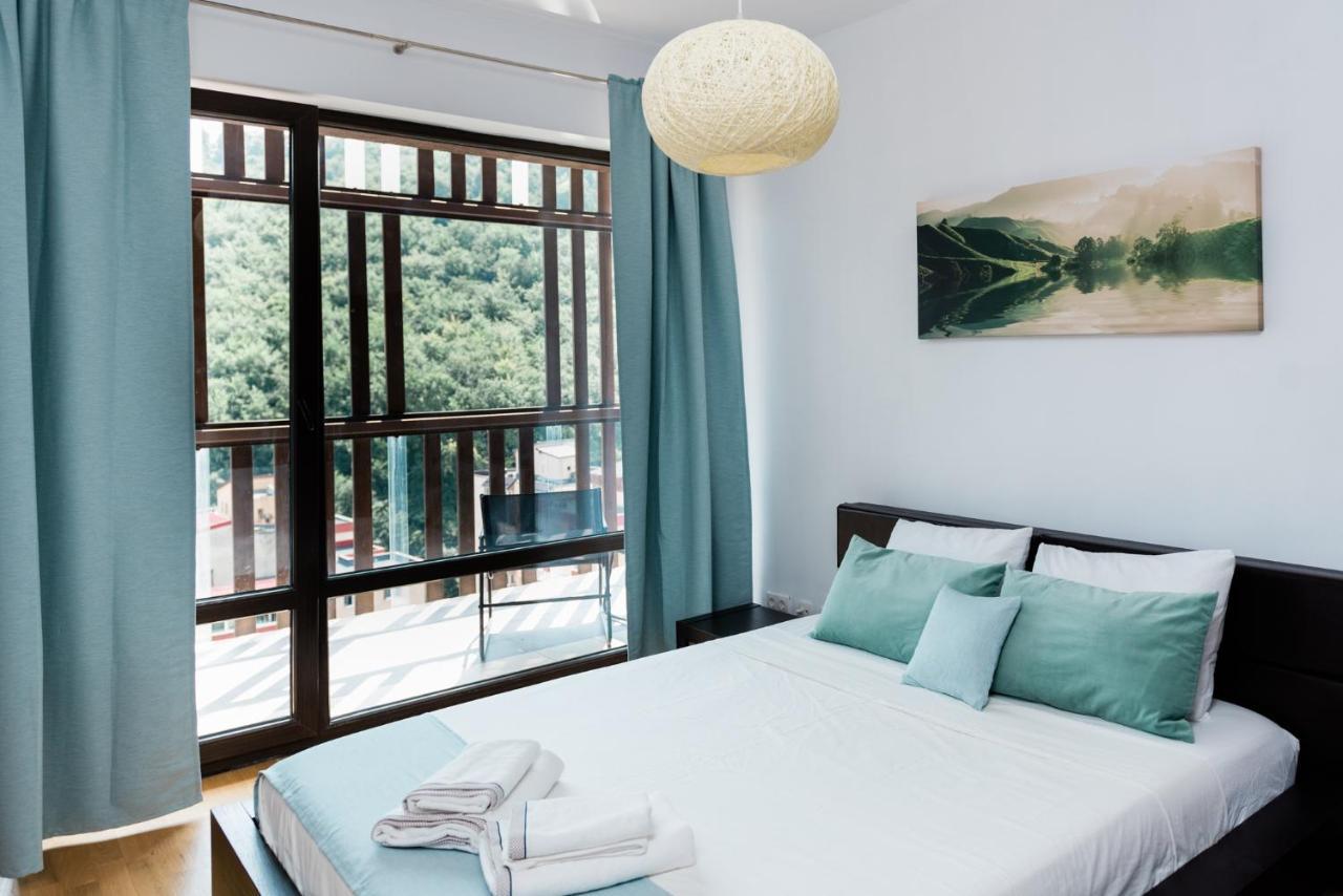 Nature Escape Apartment Braşov Extérieur photo